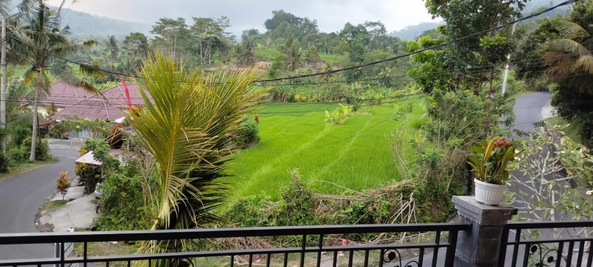 Giri Swari Homestay Sidemen  Bagian luar foto